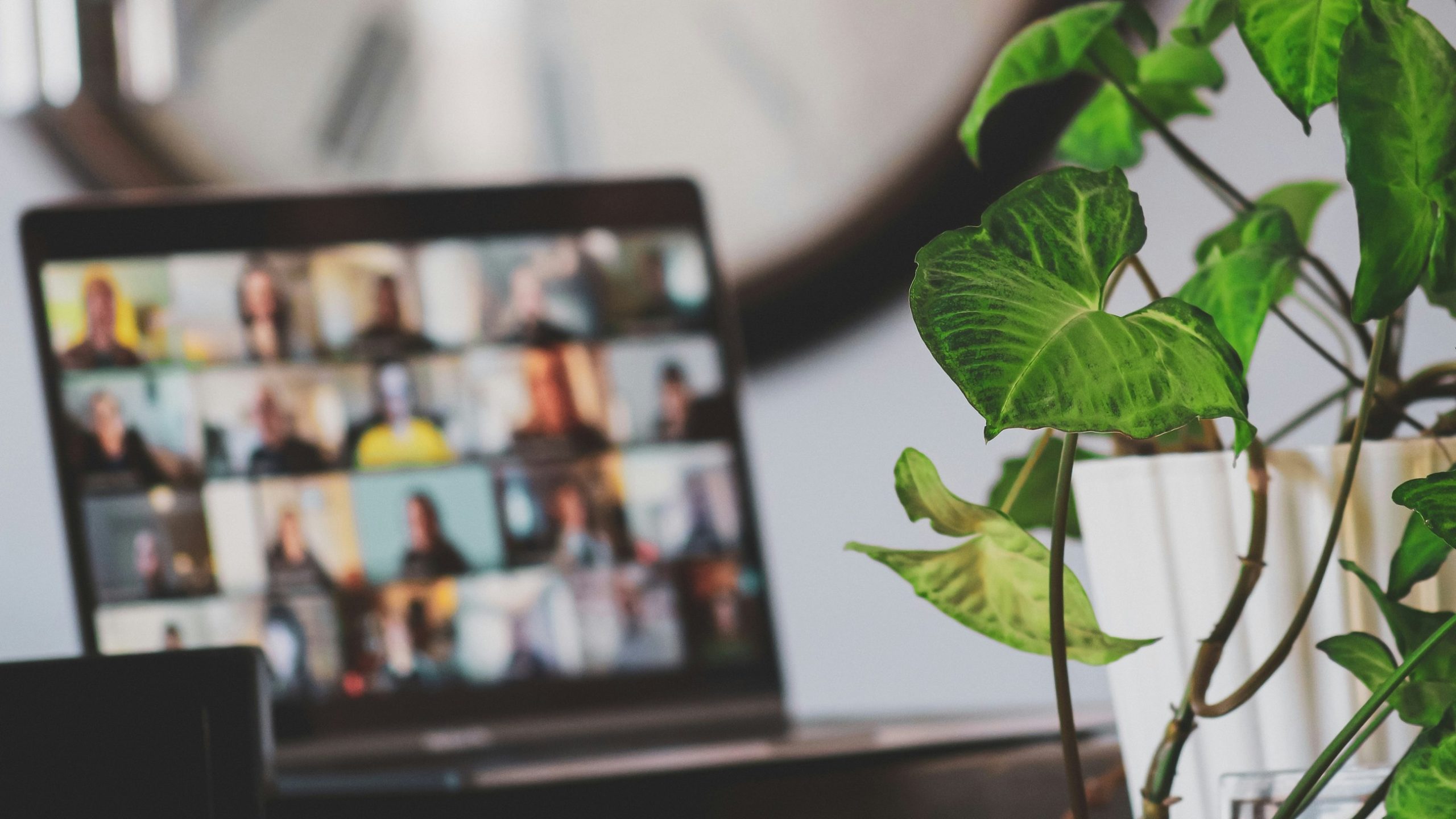 Фото: Compagnons/Unsplash